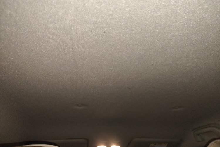 Used ORA White Cat 2020 360 km Luxury Version Headliner