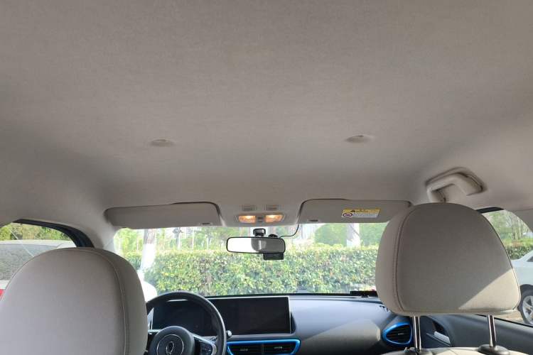 Used ORA White Cat 2020 360 km Luxury Version Headliner
