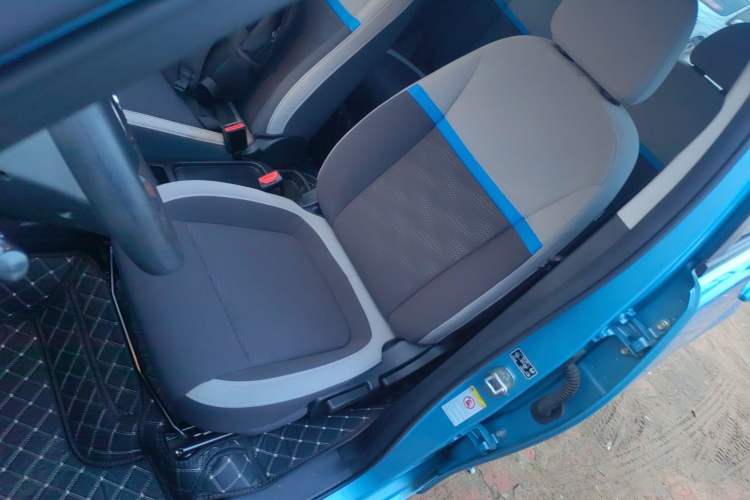 Used ORA White Cat 2020 360km Standard Version Left Front Seat