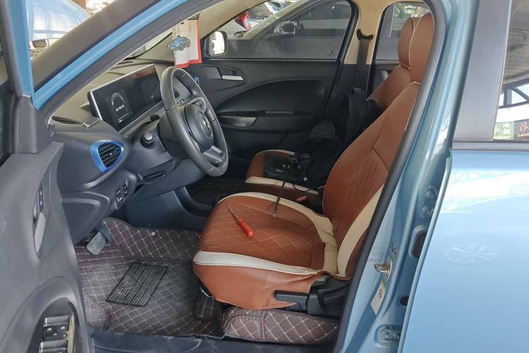 Used ORA White Cat 2020 305 km Luxury Version Left Front Seat