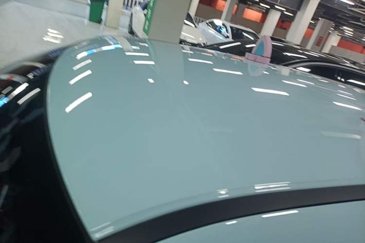 Used ORA White Cat 2020 401 km Long-Range Version Roof