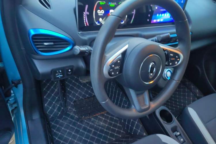 Used ORA White Cat 2020 360km Standard Version Steering Wheel