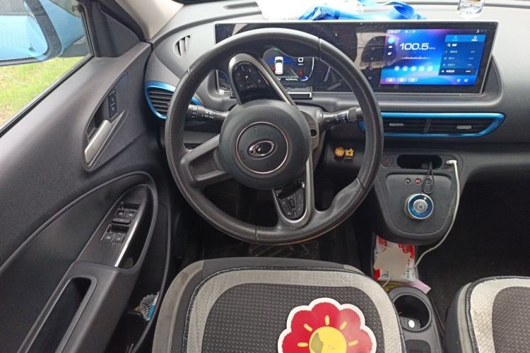 Used ORA White Cat 2020 305 km Luxury Version Steering Wheel