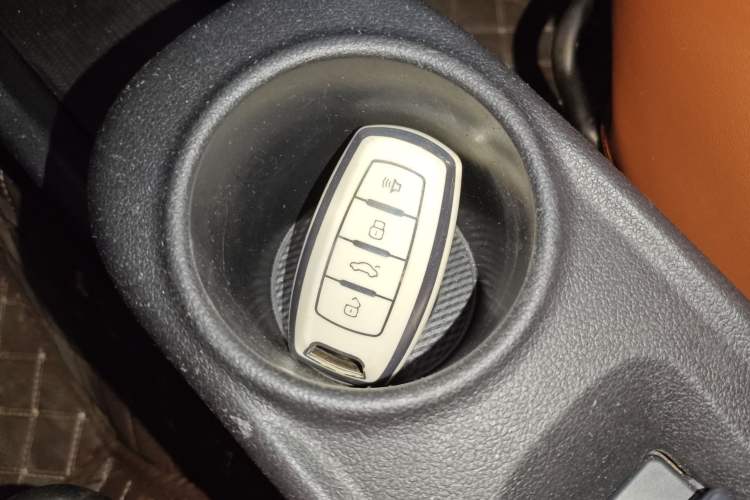 Used ORA White Cat 2020 305 km Luxury Version Vehicle Key