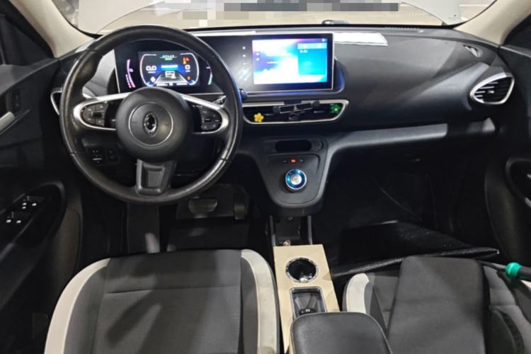 Used ORA White Cat 2020 360 km Luxury Version Center Console