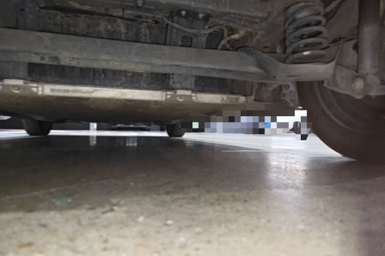 Used ORA White Cat 2020 360 km Luxury Version Chassis Rear