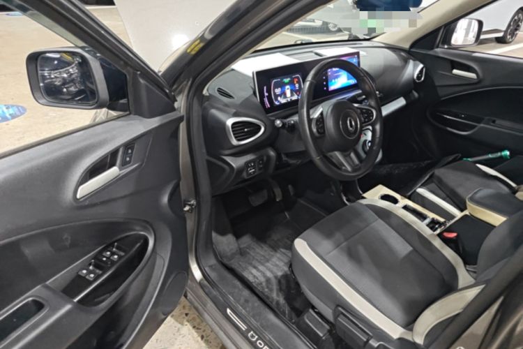 Used ORA White Cat 2020 360 km Luxury Version Driver Seat