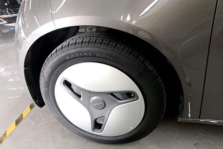 Used ORA White Cat 2020 401 km Long-Range Version Exterior 4