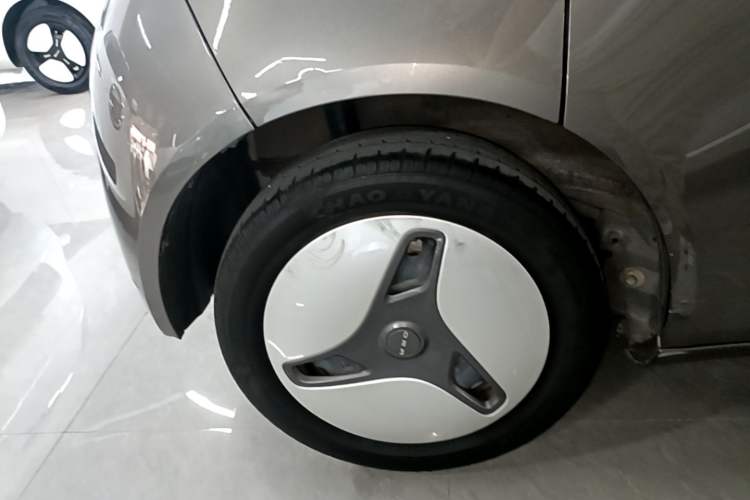 Used ORA White Cat 2020 401 km Long-Range Version Exterior 5