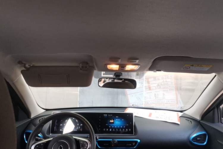 Used ORA White Cat 2020 305 km Luxury Version Headliner