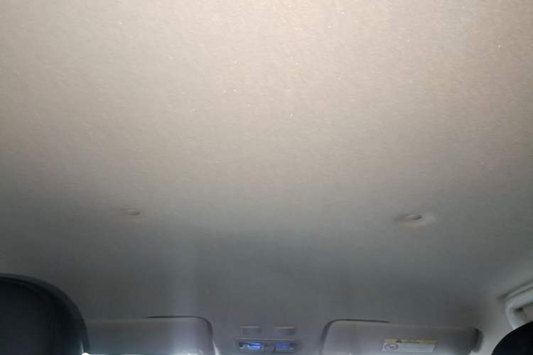 Used ORA White Cat 2020 401 km Long-Range Version Headliner