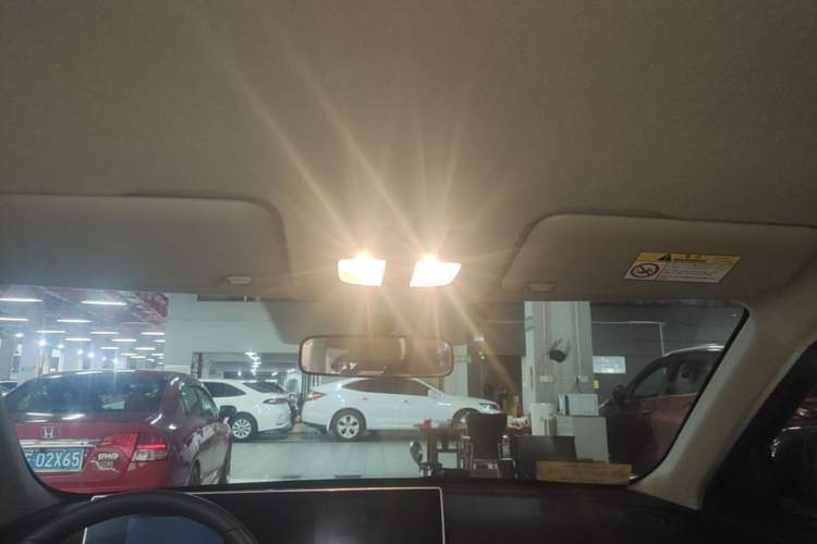 Used ORA White Cat 2020 360 km Luxury Version Headliner
