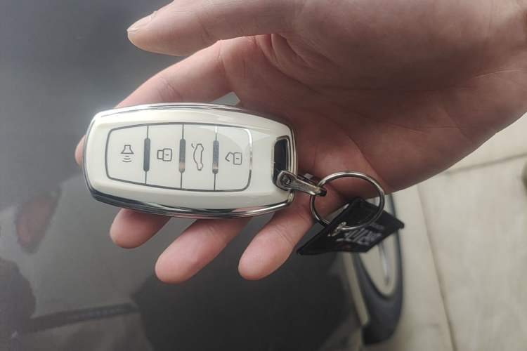 Used ORA White Cat 2020 360 km Luxury Version Interior 1
