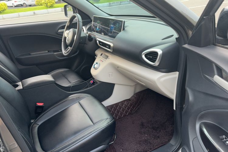Used ORA White Cat 2020 360 km Luxury Version Interior 5