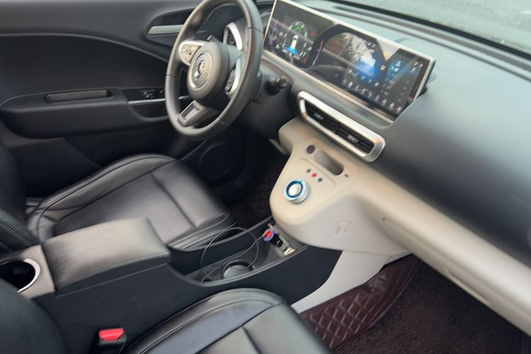 Used ORA White Cat 2020 360 km Luxury Version Interior 6