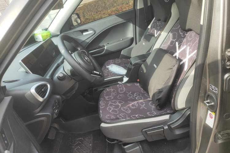 Used ORA White Cat 2020 360 km Luxury Version Left Front Seat