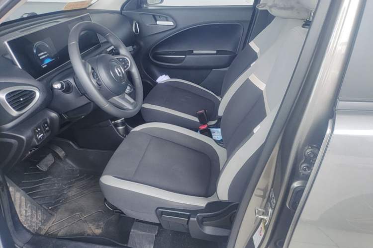 Used ORA White Cat 2020 360 km Luxury Version Left Front Seat