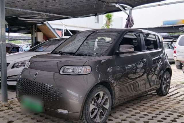 Used ORA White Cat 2020 305 km Luxury Version