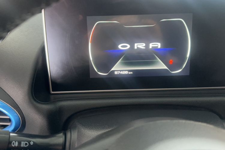 Used ORA White Cat 2020 401 km Flagship Version Odometer Close Up