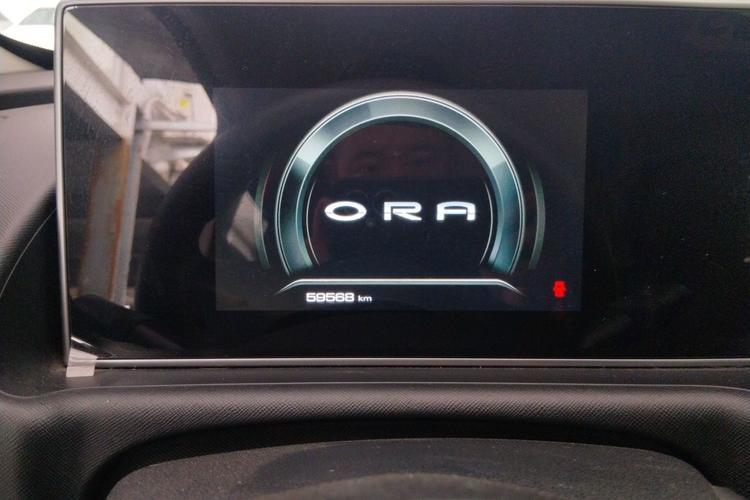 Used ORA White Cat 2020 305 km Luxury Version Odometer Close Up