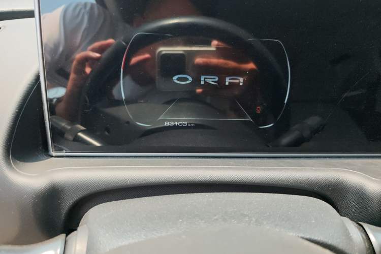 Used ORA White Cat 2020 360 km Luxury Version Odometer Close Up