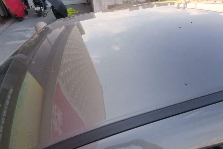 Used ORA White Cat 2020 305 km Luxury Version Roof