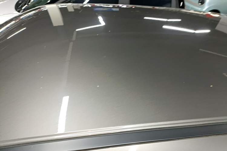 Used ORA White Cat 2020 401 km Long-Range Version Roof