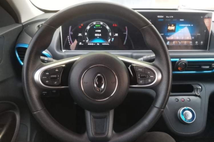 Used ORA White Cat 2020 305 km Luxury Version Steering Wheel