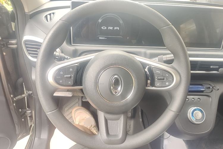 Used ORA White Cat 2020 360 km Luxury Version Steering Wheel