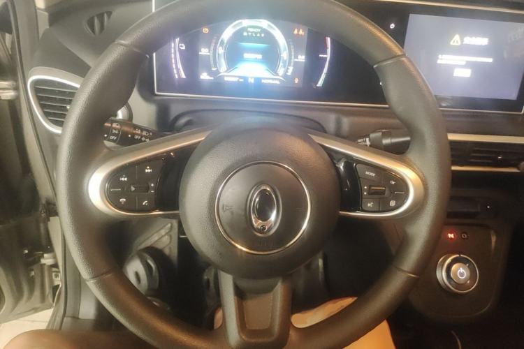 Used ORA White Cat 2020 360 km Luxury Version Steering Wheel