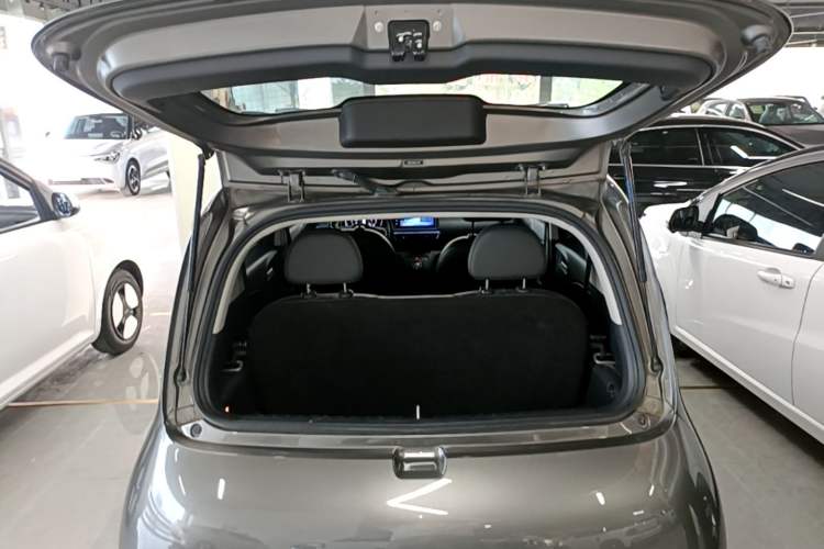 Used ORA White Cat 2020 401 km Long-Range Version Trunk