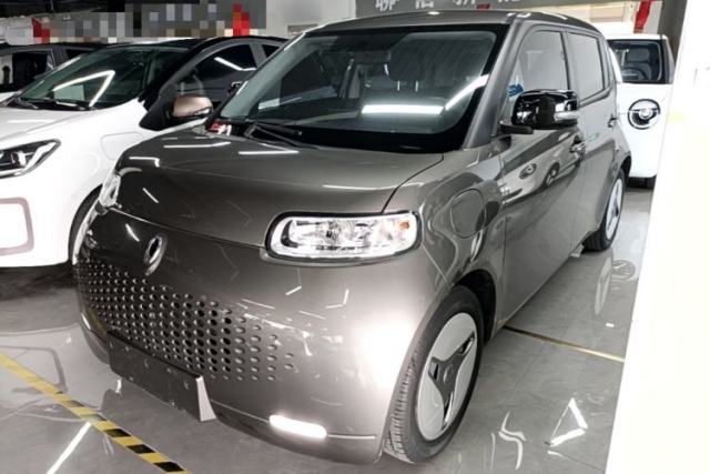 Used ORA White Cat 2020 401 km Long-Range Version