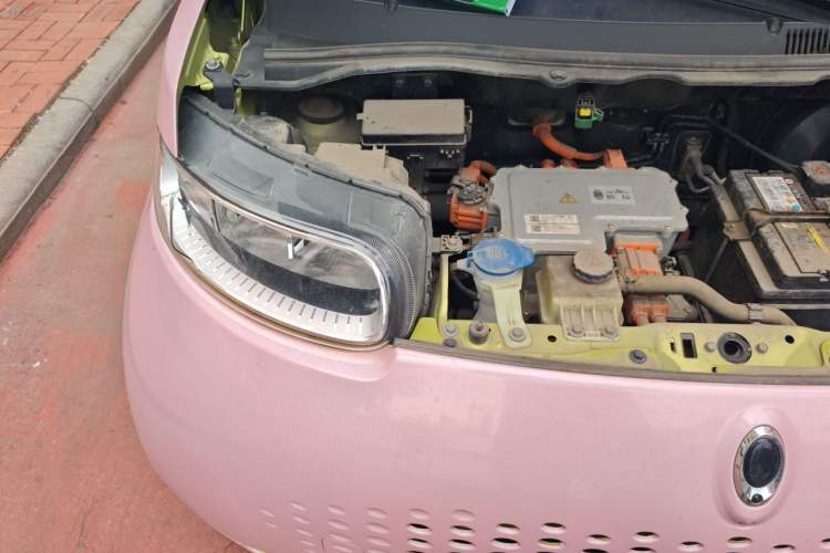 Used ORA White Cat 2020 305 km Luxury Version Engine Bay Right