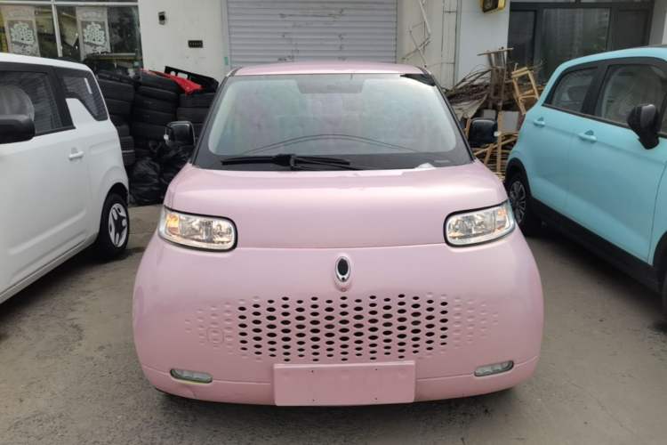 Used ORA White Cat 2020 305 km Luxury Version Front