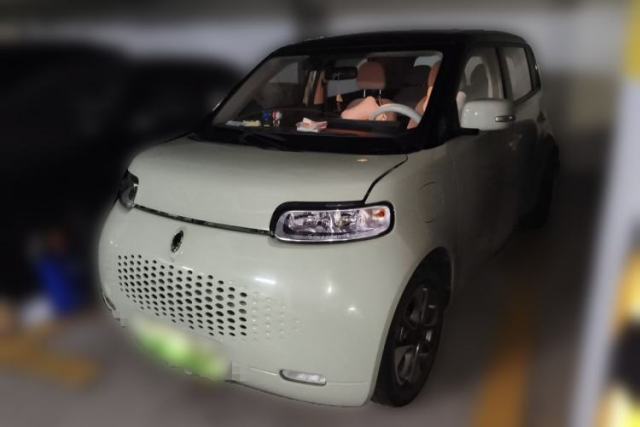 Used ORA White Cat 2020 305 km Luxury Version