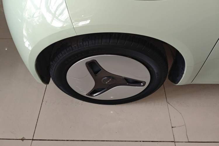 Used ORA White Cat 2020 360 km Luxury Version Exterior 2