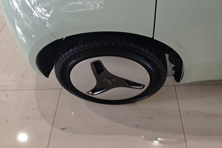 Used ORA White Cat 2020 360 km Luxury Version Exterior 3