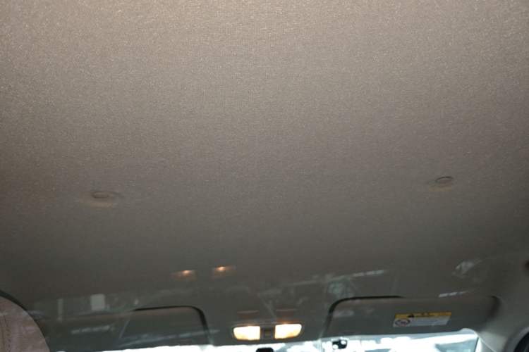 Used ORA White Cat 2020 360 km Luxury Version Headliner