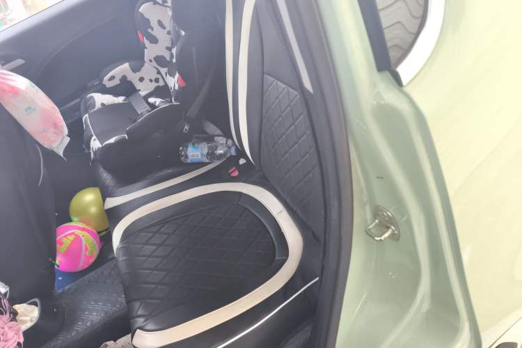 Used ORA White Cat 2020 305 km Luxury Version Left Rear Seat