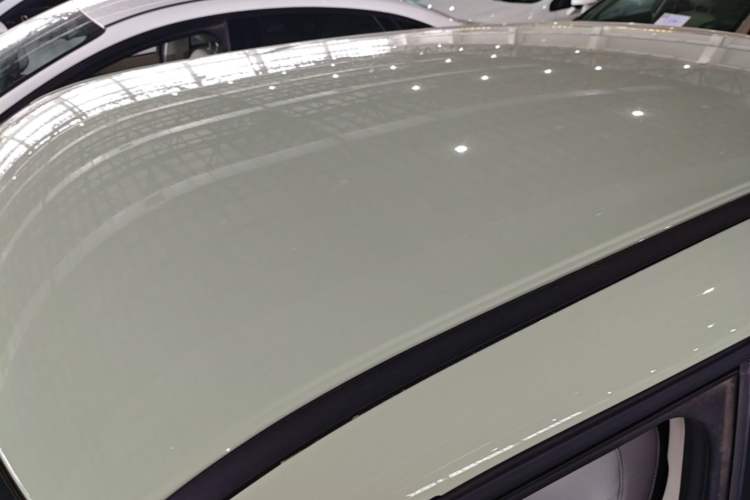 Used ORA White Cat 2020 360 km Luxury Version Roof
