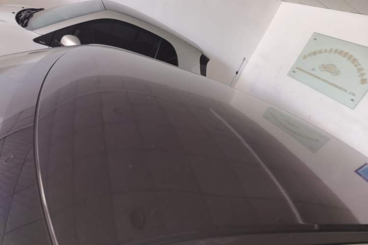 Used ORA White Cat 2020 305 km Luxury Version Roof
