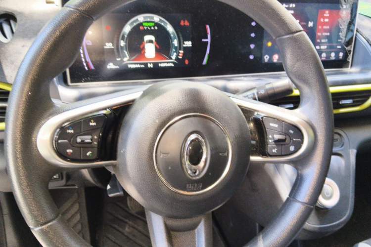 Used ORA White Cat 2020 305 km Luxury Version Steering Wheel