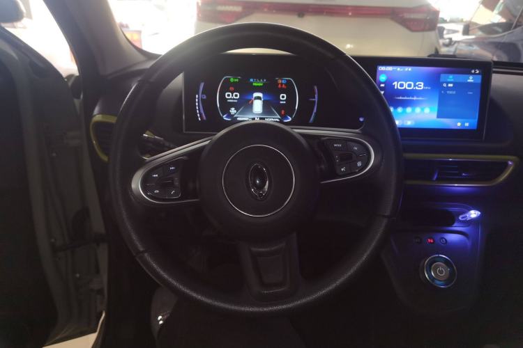 Used ORA White Cat 2020 305 km Luxury Version Steering Wheel