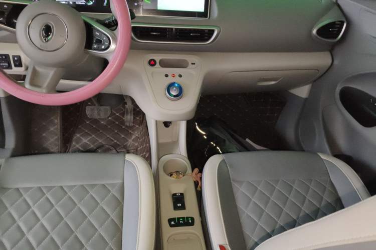Used ORA White Cat 2020 401 km Flagship Version Gear Lever