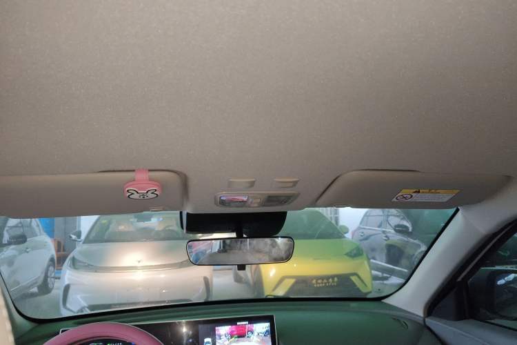 Used ORA White Cat 2020 401 km Flagship Version Headliner