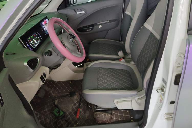 Used ORA White Cat 2020 401 km Flagship Version Left Front Seat