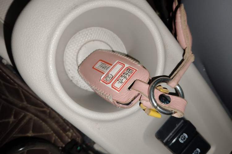 Used ORA White Cat 2020 401 km Flagship Version Vehicle Key