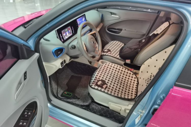 Used ORA White Cat 2020 360 km Luxury Version Driver Seat