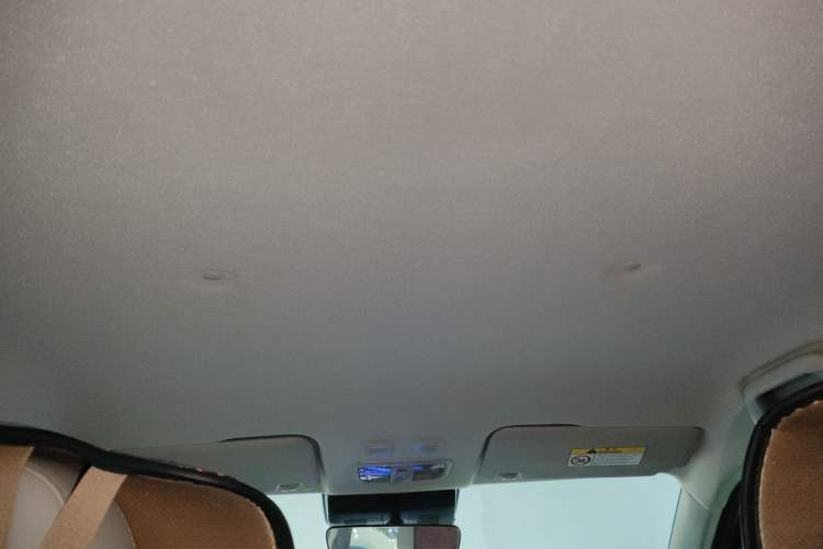 Used ORA White Cat 2020 401 km Flagship Version Headliner
