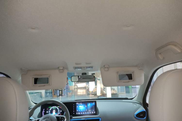 Used ORA White Cat 2020 360 km Luxury Version Headliner